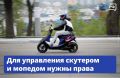Госавтоинспекция напоминает: для управления скутером и мопедом нужны права