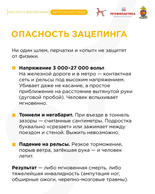 Лето – время долгих прогулок, свободы и… поиска приключений Лето – время долгих прогулок, свободы и… поиска приключений