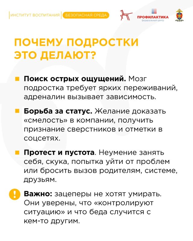 Лето – время долгих прогулок, свободы и… поиска приключений Лето – время долгих прогулок, свободы и… поиска приключений