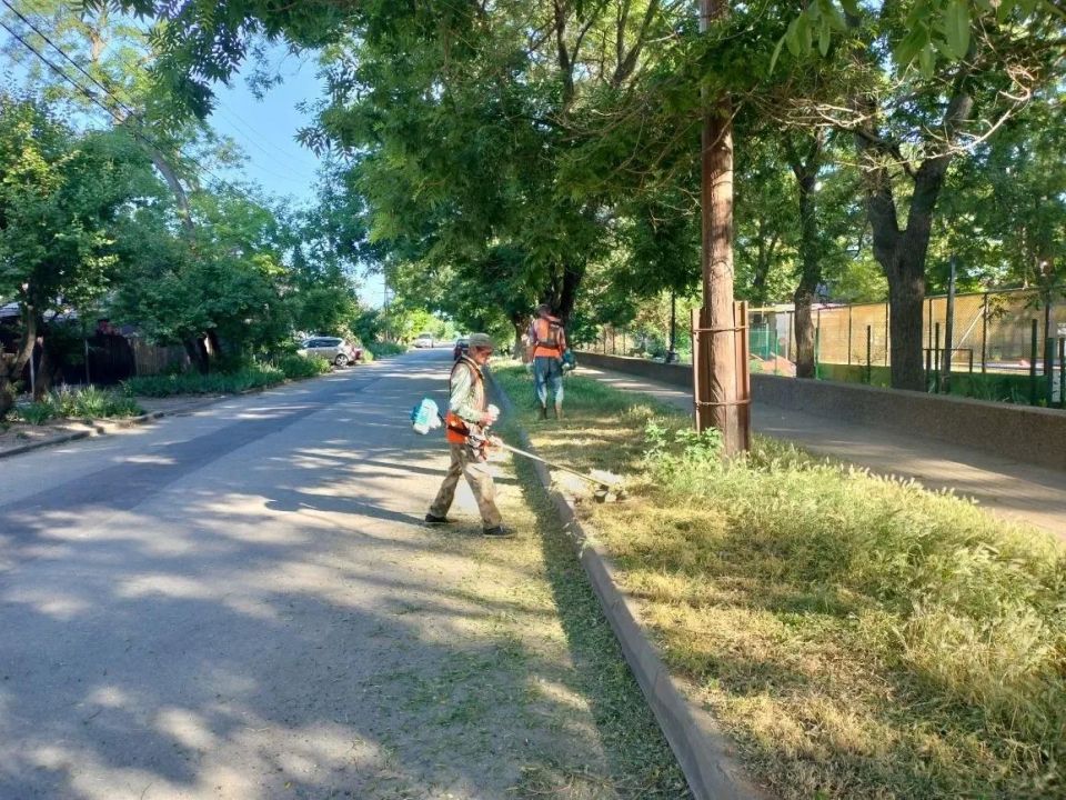 Работы по покосу травы, наведению санитарного порядка и уборке приконтейнерных территорий ведутся сегодня на ул. Краснодарской, ул. Московской, 273, ул. С. Романа, 78 (за гаражами), ул. К.Либкнехта, на Молодёжной площади, на... Работы по покосу травы, наведению санитарного порядка и уборке приконтейнерных территорий ведутся сегодня на ул. Краснодарской, ул. Московской, 273, ул. С. Романа, 78 (за гаражами), ул. К.Либкнехта, на Молодёжной площади, на...