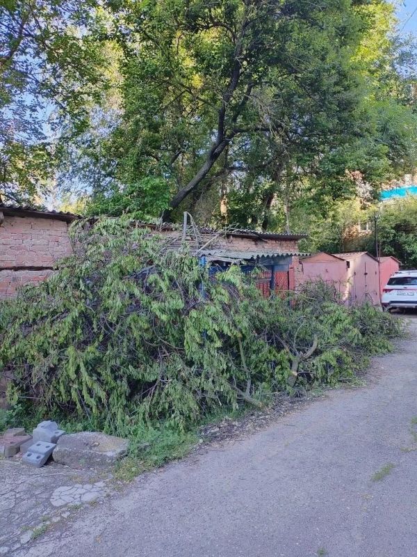 Работы по покосу травы, наведению санитарного порядка и уборке приконтейнерных территорий ведутся сегодня на ул. Краснодарской, ул. Московской, 273, ул. С. Романа, 78 (за гаражами), ул. К.Либкнехта, на Молодёжной площади, на... Работы по покосу травы, наведению санитарного порядка и уборке приконтейнерных территорий ведутся сегодня на ул. Краснодарской, ул. Московской, 273, ул. С. Романа, 78 (за гаражами), ул. К.Либкнехта, на Молодёжной площади, на...
