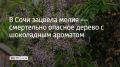 � ������ ���� � ���� ������ ����� �������� � �� ��� �������� ���������� �������, ���� � ������ ��� ����� �������� ���������