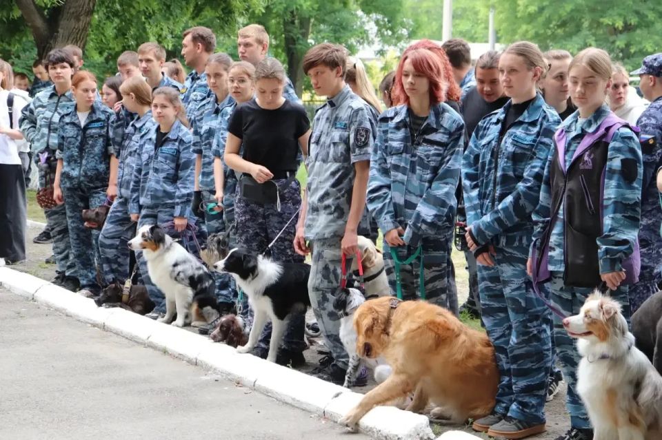 Сотрудники ИК-4 ГУФСИН России по Краснодарскому краю стали почётными гостями спортивно-кинологических соревнований в Армавире Сотрудники ИК-4 ГУФСИН России по Краснодарскому краю стали почётными гостями спортивно-кинологических соревнований в Армавире