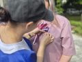 В Сочи проходит акция «Российский триколор»