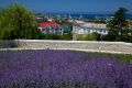 День в истории. 14 июня 1783 года был основан Севастополь