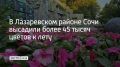 �� ������ ������ �������� ����� 45 ����� �������� ������, ������������� �������� ������ ��� 20 �������� ������������ ��������