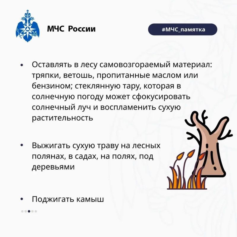 Как не допустить лесной пожар? Как не допустить лесной пожар?