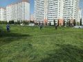 В Краснодаре выкосили более 6000 гектаров сорной растительности
