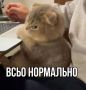 ��������� �������� �������� �� ����� �������