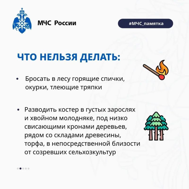 Как не допустить лесной пожар? Как не допустить лесной пожар?