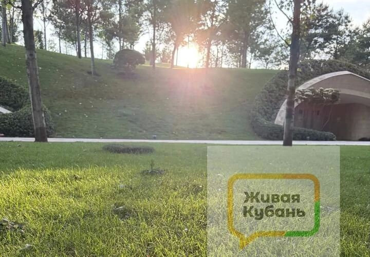 Пускать или не пускать?. На входе в парк Краснодар такая картина - охранника обступила группа недовольных молодых людей