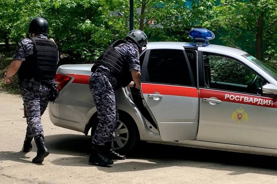 Росгвардейцы провели профориентационные встречи с юными правозащитниками в «Орлёнке» Росгвардейцы провели профориентационные встречи с юными правозащитниками в «Орлёнке»