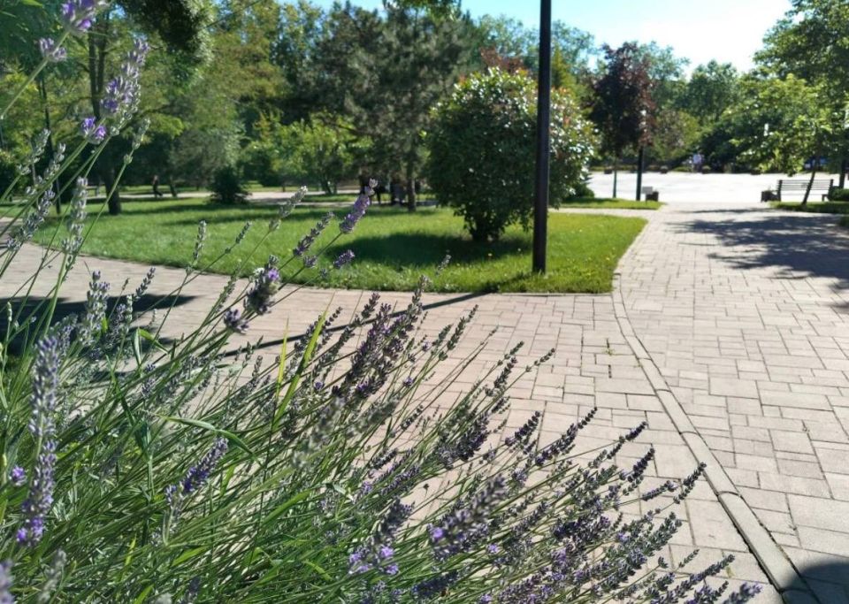 В городе-герое Новороссийске 22 июня на три минуты перекроют часть проспекта Ленина В городе-герое Новороссийске 22 июня на три минуты перекроют часть проспекта Ленина