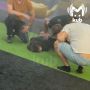 �� ���� ������ ������� ����� ���������� �������, ��������� �� ����� � ������������� ��