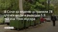 В Сочи за неделю вывезли около 5,8 тысячи тонн мусора, на двоих “черных” мусорщиков передали данные в полицию, рассказали в городской администрации