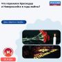 Россияне склоняют головы в честь миллионов героев, отдавших жизни в Великой Отечественной войне