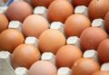 Яйца, хлеб и молоко: какие продукты могут стать дешевле