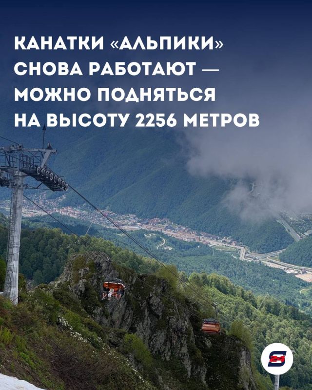 Канатки «Альпики» снова работают — можно подняться на высоту 2256 метров