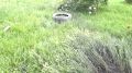 В Пятигорске задержали двух женщин с взрывчаткой