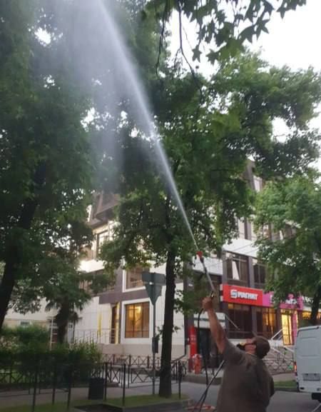 В Хостинском районе усилили борьбу с опасным вредителем В Хостинском районе усилили борьбу с опасным вредителем