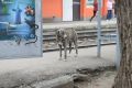 ��������� ���������� ����������� � ��������� �������� � ������� ����������