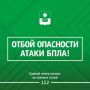 ������� ����������: ������ ����� ����������� ����������� ��������� � ���������� �����