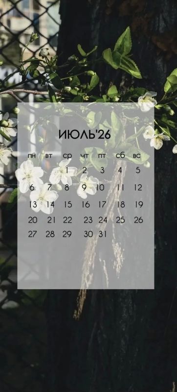 На календаре - июль, а это значит, пора менять заставки на телефонах! На календаре - июль, а это значит, пора менять заставки на телефонах!