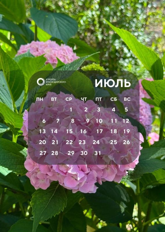 Июль — время, когда лето звучит громче всего! Июль — время, когда лето звучит громче всего!