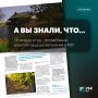 А вы знали, что 7,8 литров в год – потребление алкоголя на душу населения в РФ?