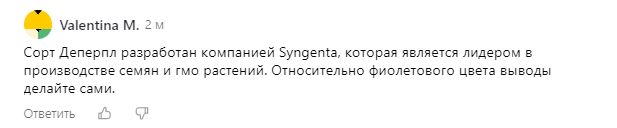 Цветная капуста "Дачница": идеальный выбор для вашего огорода