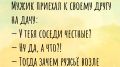 Как дача может изменить вашу жизнь: анекдоты и истории о дачниках