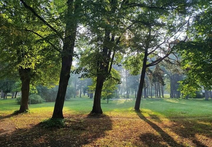 В станице Пластуновской (Динский район Кубани) нашли обломки БПЛА