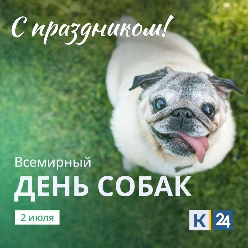 Ученые доказали: 5 минут общения с собакой в разы снижают уровень стресса