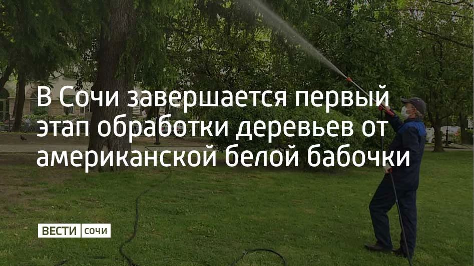 Работы ведутся по муниципальной программе с 2024 года, на которую в бюджете заложили более 30 миллионов рублей