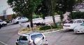 В Краснодаре на улице Уральской стая бродячих собак напала на ребенка