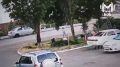 Стая собак напала на девочку в Краснодаре