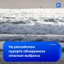 В Черное море слили неочищенную канализацию