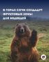 В горах Сочи для медведей появятся специальные фруктовые зоны