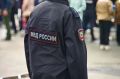 Стая бездомных собака напала на девочку в Краснодаре