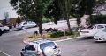 Уголовное дело возбуждено после нападения стаи собак на девочку в Краснодаре