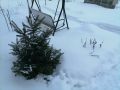 Зимний парадокс: зачем садоводам снег и как его правильно использовать?