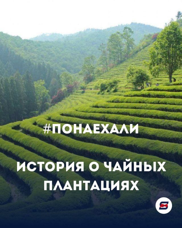 Новая рубрика — #Понаехали
