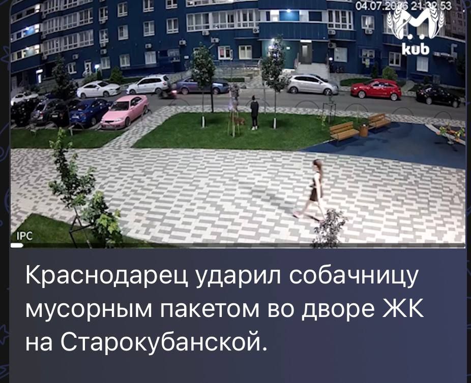 Полиция Краснодара оценит действия краснодарца, напавшего с мусорным пакетом на местную жительницу