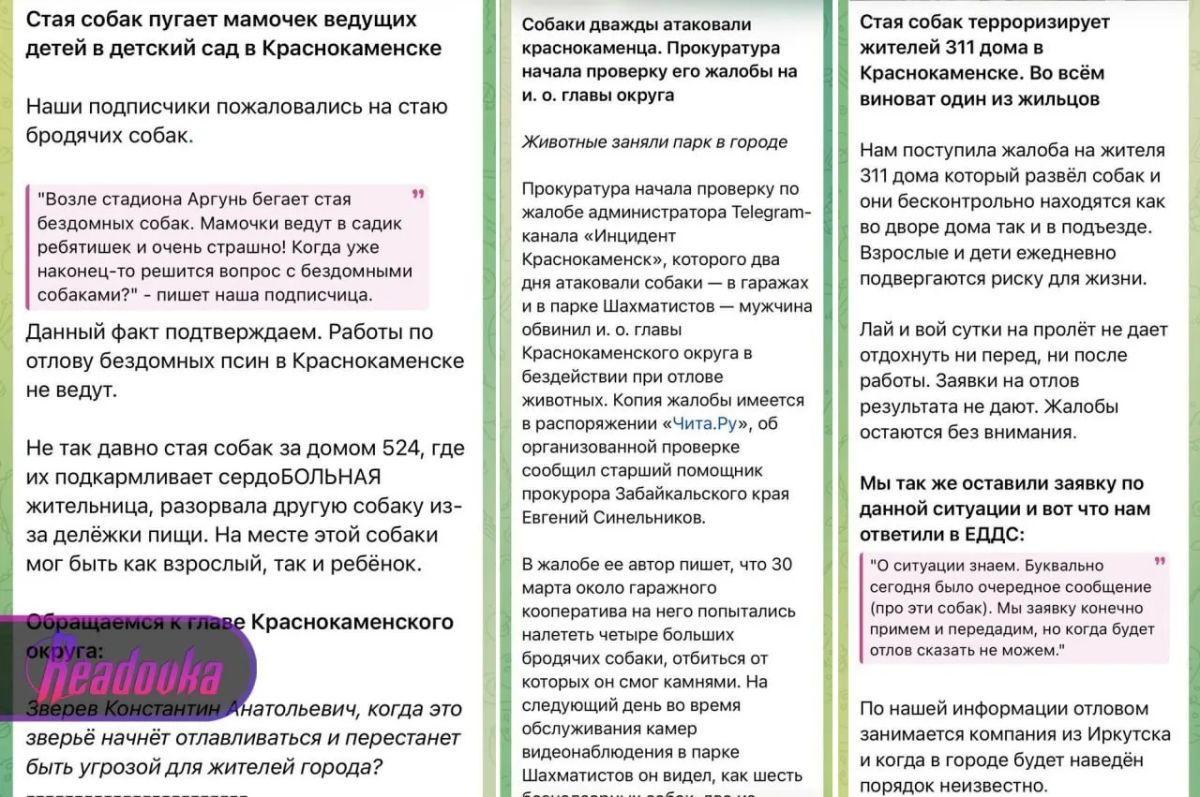 В Чите оштрафовали начальницу отдела администрации Краснокаменского округа за бездействие при отлове собак В Чите оштрафовали начальницу отдела администрации Краснокаменского округа за бездействие при отлове собак