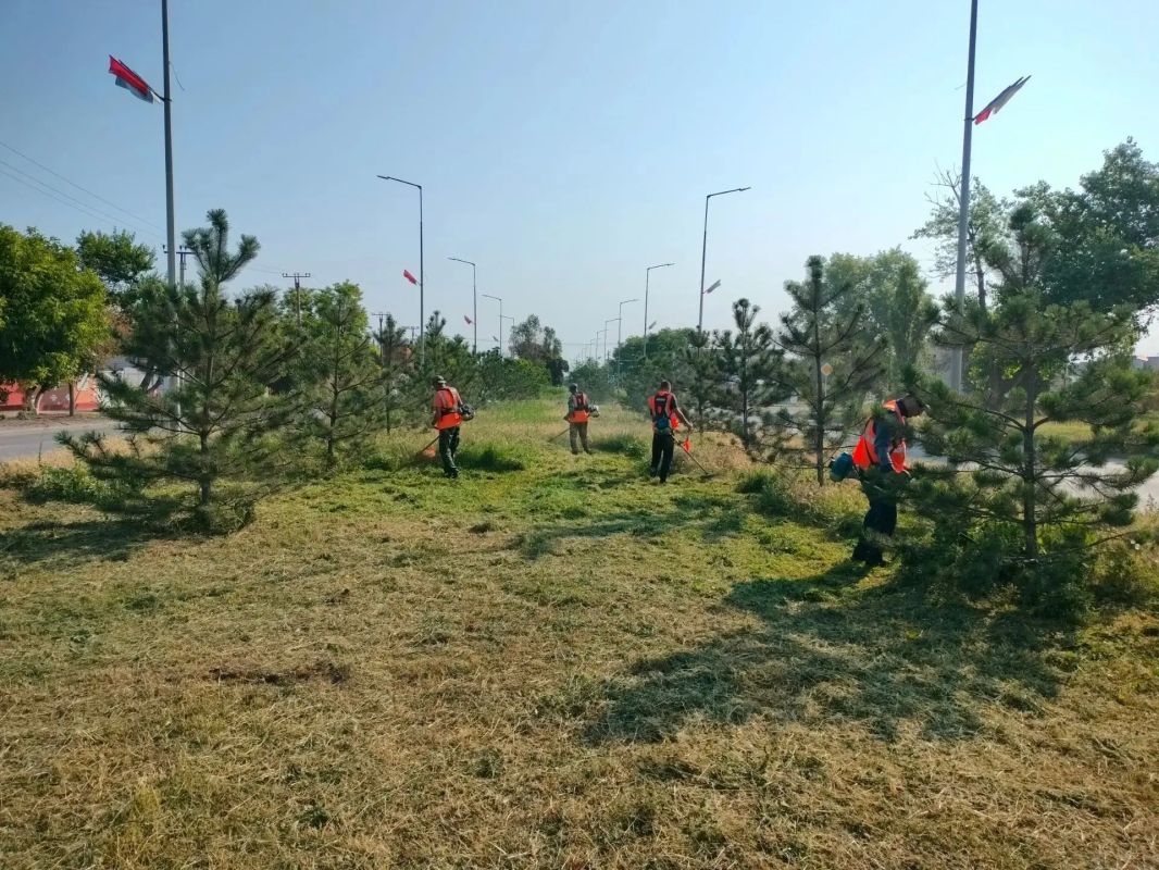 Работы по покосу травы на городских территориях проводятся ежедневно Работы по покосу травы на городских территориях проводятся ежедневно