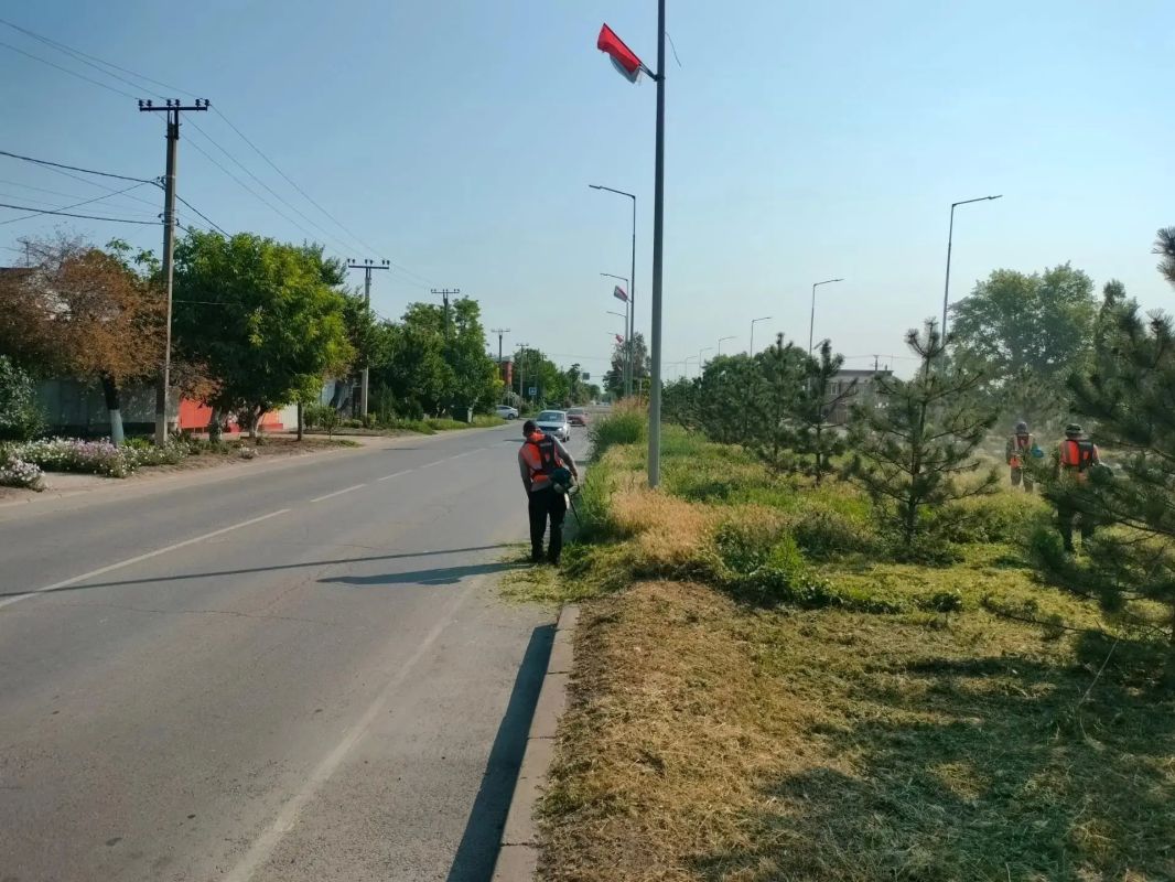 Работы по покосу травы на городских территориях проводятся ежедневно Работы по покосу травы на городских территориях проводятся ежедневно