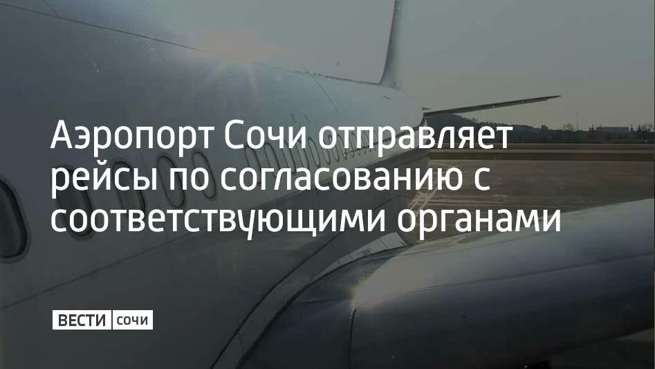 Меры приняты для обеспечения безопасности полетов, сообщили в аэропорту курорта