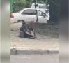 В Краснодаре подросток пыталась разделать голубя на глазах у прохожих
