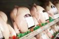 В России может заметно подорожать курица и другое мясо птицы — производители предупреждают о кризисе в отрасли