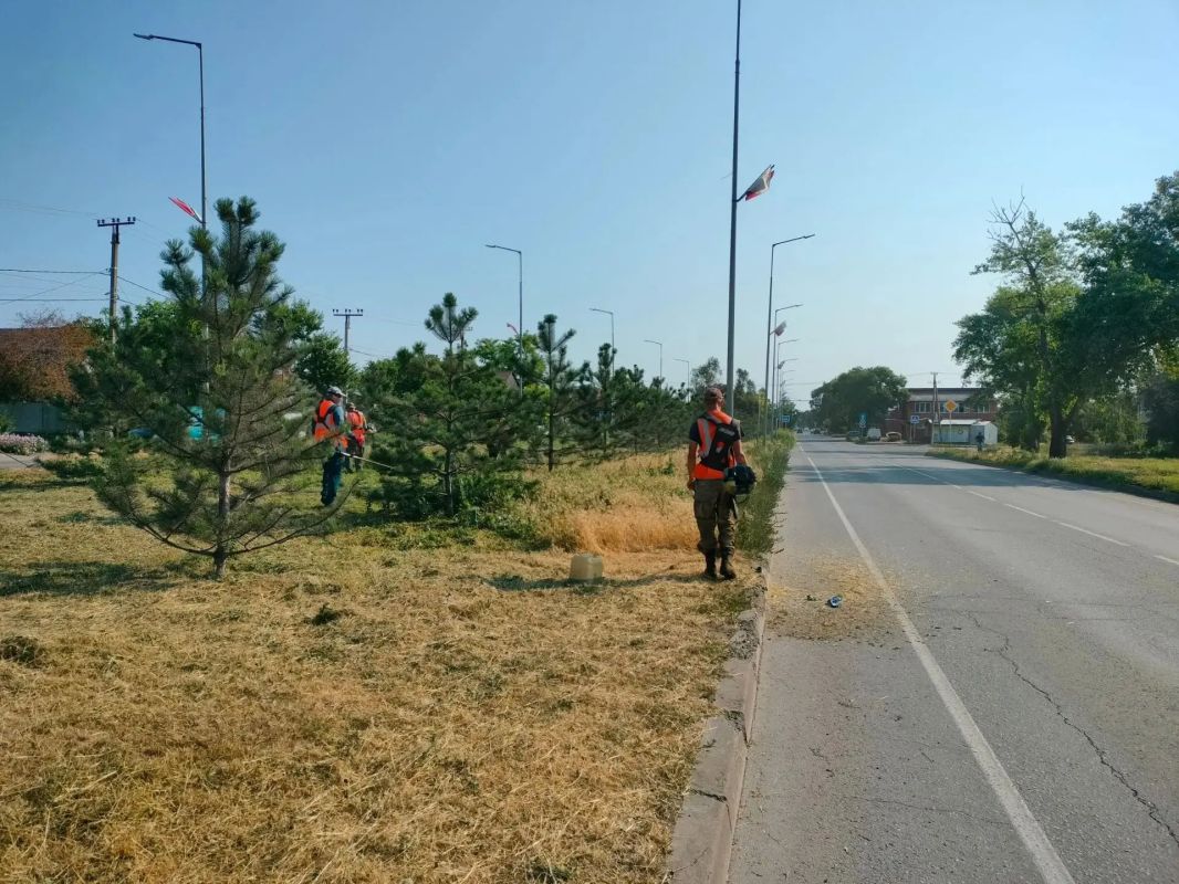 Работы по покосу травы на городских территориях проводятся ежедневно Работы по покосу травы на городских территориях проводятся ежедневно